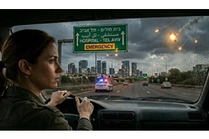 Emergency Wartime Grants (Lion’s Roar)